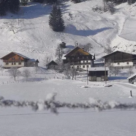 Praeau-gut *